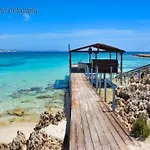 Nissi 3 Pool Access Garden * Ayia Napa