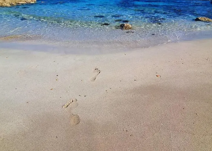 Nissi 3 Pool Access Garden * Ajia Napa